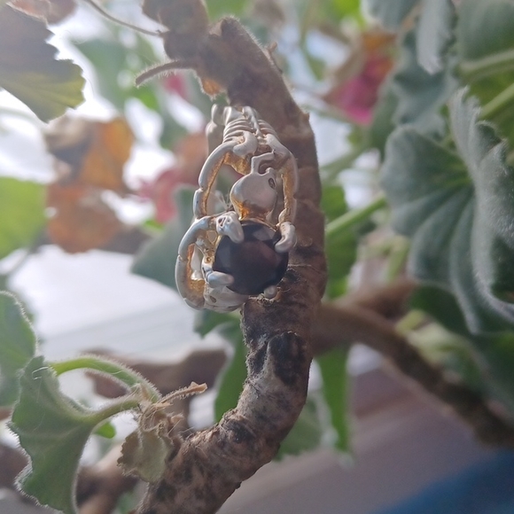 New ☠️keleton & Black Crystal Ring☠️ - Picture 2 of 11